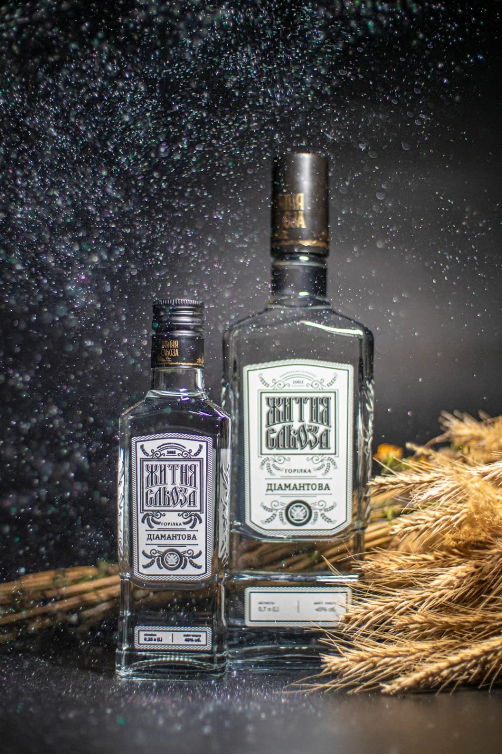 Lorem ipsum dolor sit amet consectetur adipiscing elit. Quisque faucibus ex sapien vitae pellentesque sem placerat. In id cursus mi pretium tellus duis convallis